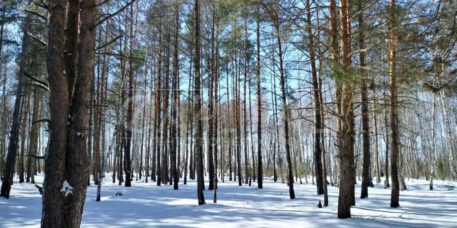 Продажа  земля сельскохозяйственного назначения Киевская обл., Вышгород, 